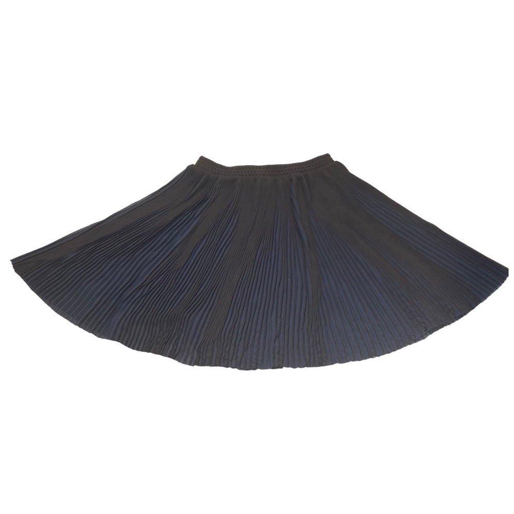 Stella Nova plisse accordion pleated black and navy sheer mini skirt - Picture 2 of 10
